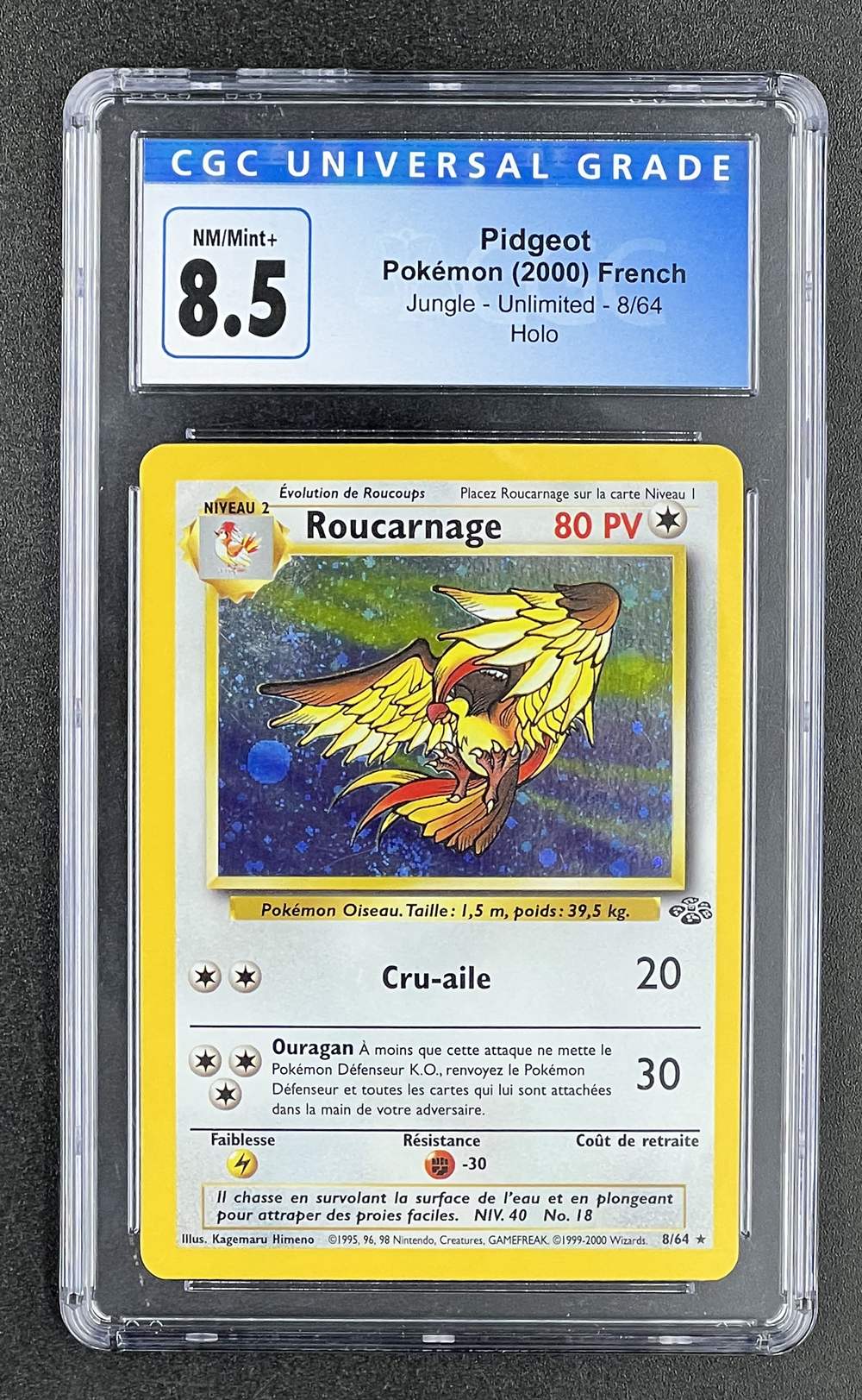 Pidgeot Pokémon (2000) French Jungle - Unlimited - 8/64 Holo CGC 8.5 NM/Mint+